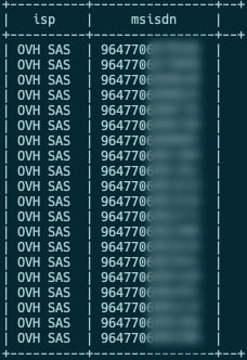 example of msisdn injected in traffic coming from an online virtual hosting internet service providers